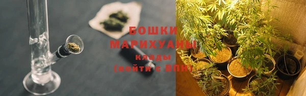 крисы Сафоново