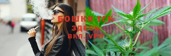 индика Рославль
