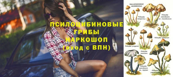 мет Дубна