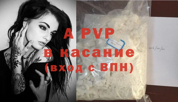 прущие грибы Новый Уренгой