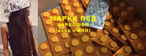 индика Рославль