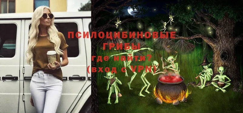 Галлюциногенные грибы Magic Shrooms Стерлитамак