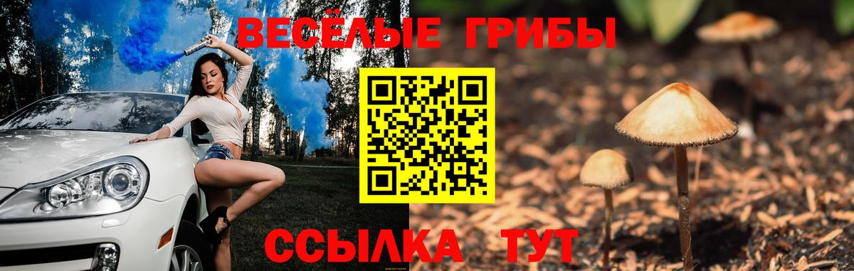 Галлюциногенные грибы GOLDEN TEACHER  Стерлитамак 