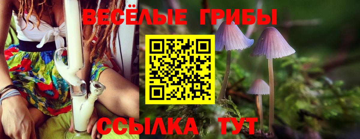 Псилоцибиновые грибы мицелий  Вход с VPN  Стерлитамак 