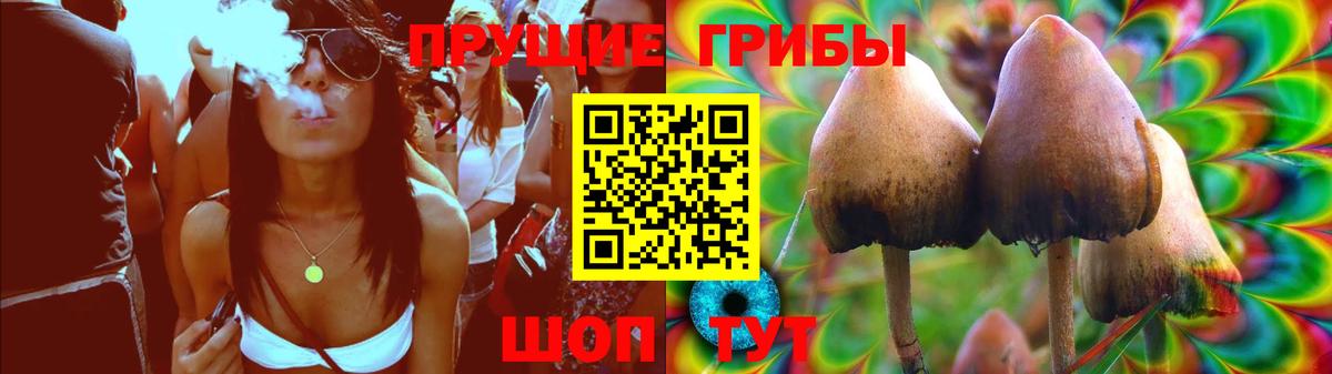 Псилоцибиновые грибы мухоморы Стерлитамак
